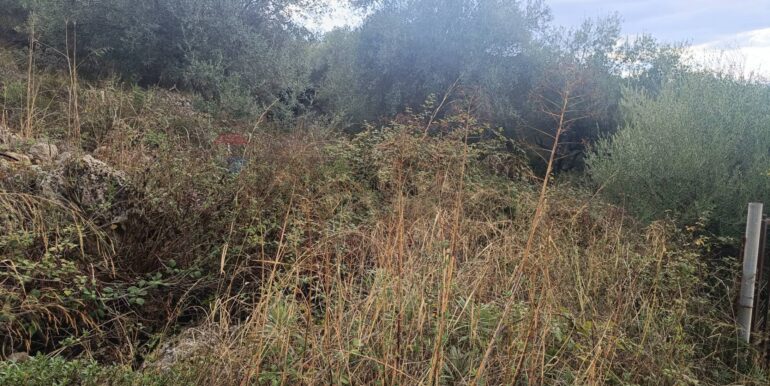 20250930163703-990443-5