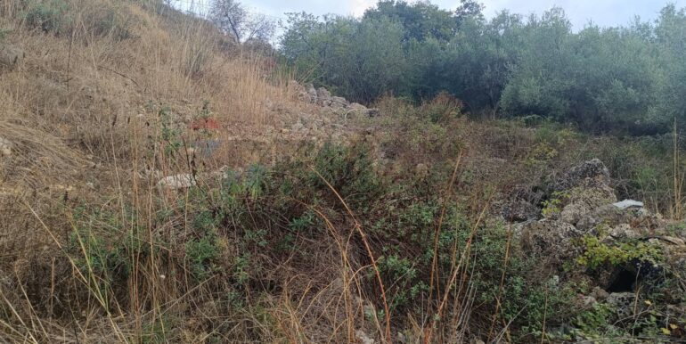 20250930163707-990443-6