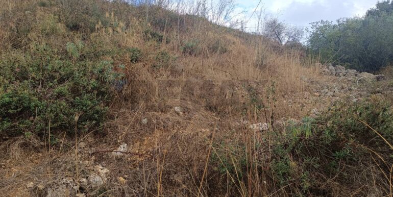 20250930163711-990443-7