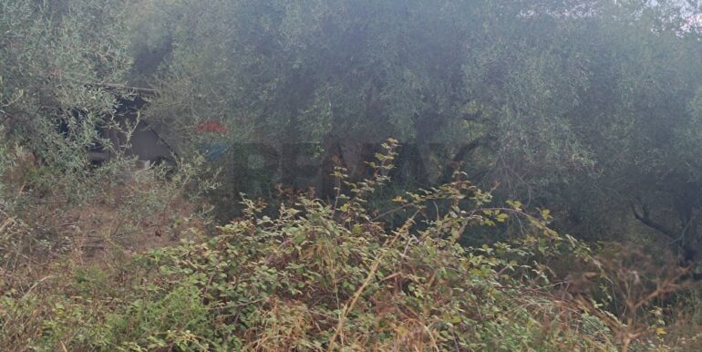 20250930163715-990443-8