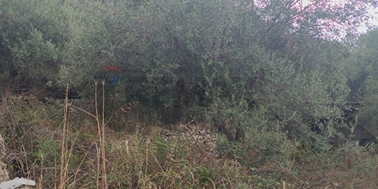 20250930163718-990443-9