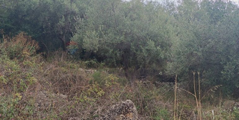 20250930163722-990443-10