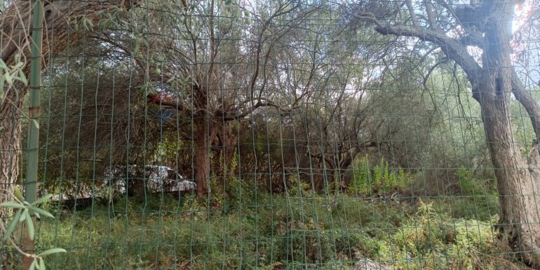 20250930164750-990450-2