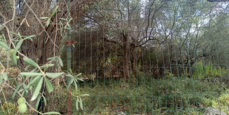 20250930164758-990450-4