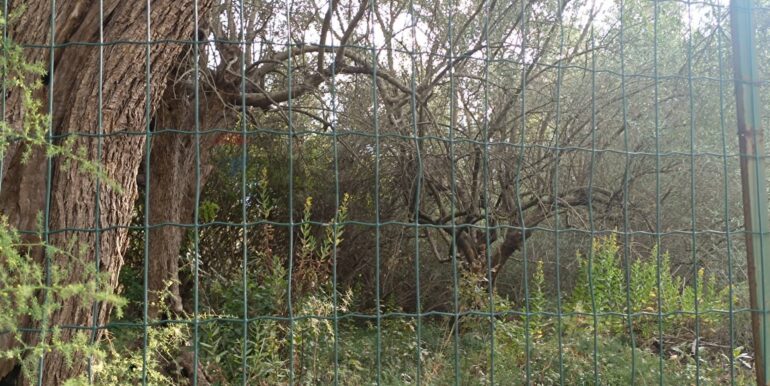 20250930164802-990450-5