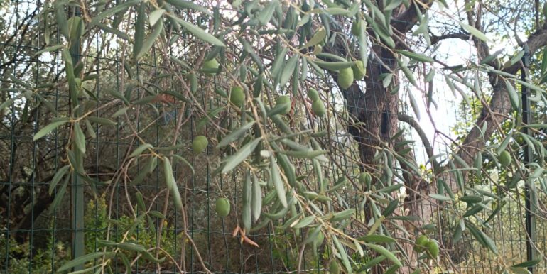 20250930164805-990450-6