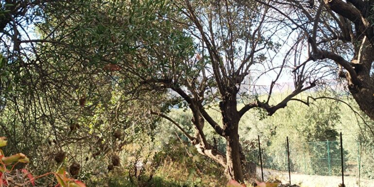 20250930164815-990450-8