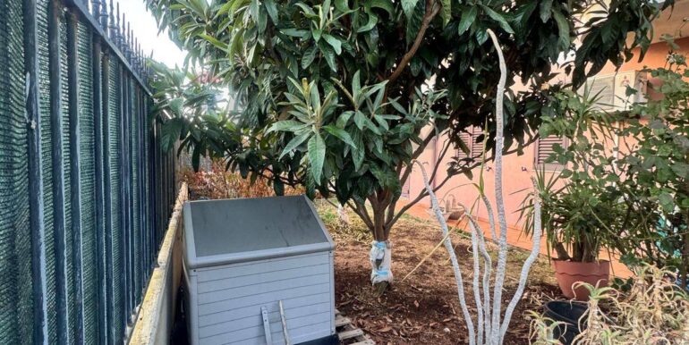 20251002115146-991129-3