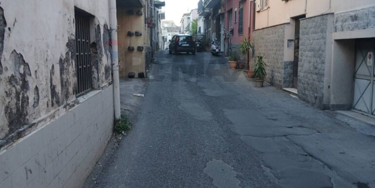 20251003224102-991606-7