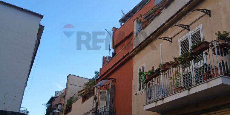 20251003224125-991606-13