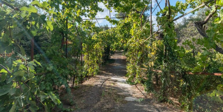 20251006185908-991987-3