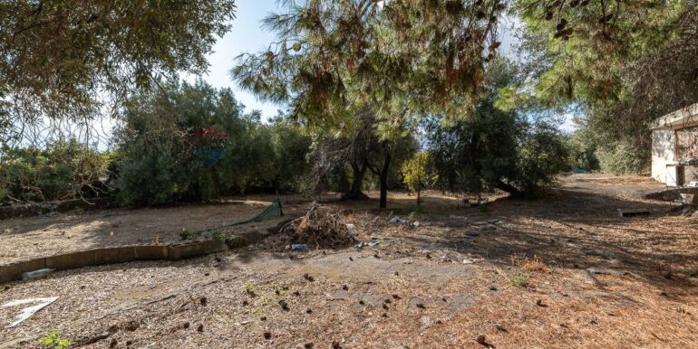 20251006190005-991987-21