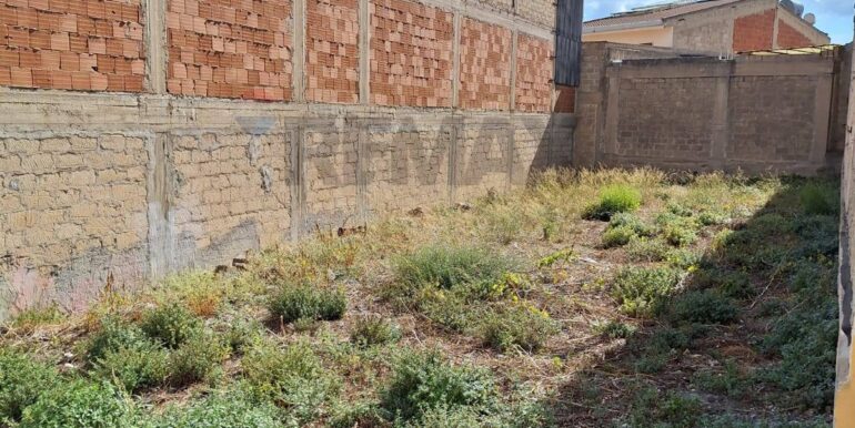 20251008125604-992501-1