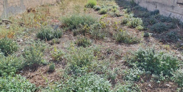 20251008125608-992501-2