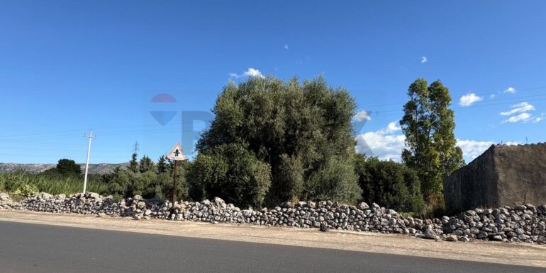 20251009165415-992772-2