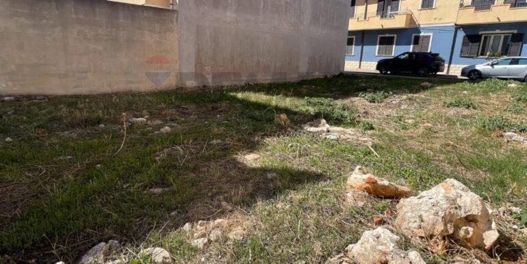 20251009185602-992279-6