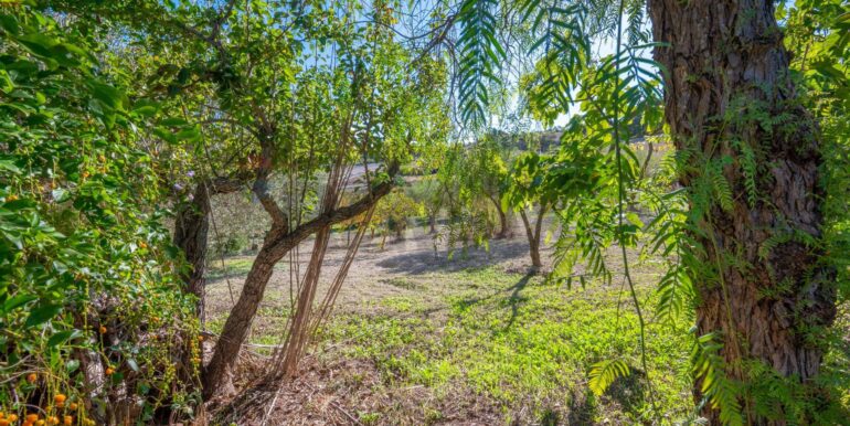 20251010111258-992855-7