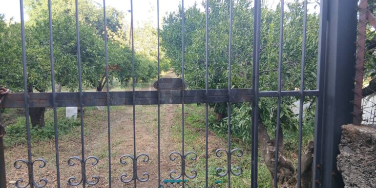 20251012134321-993139-3