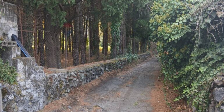 20251012134504-993139-6