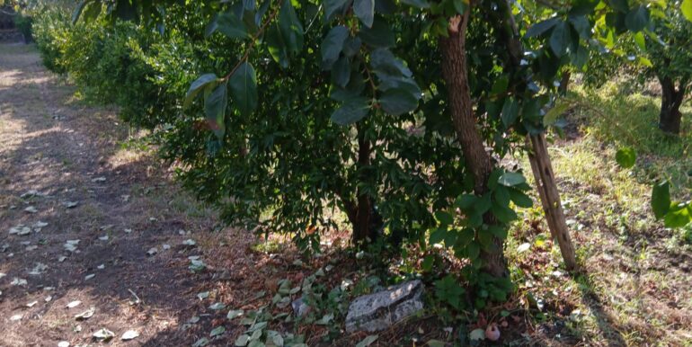 20251012134628-993139-7