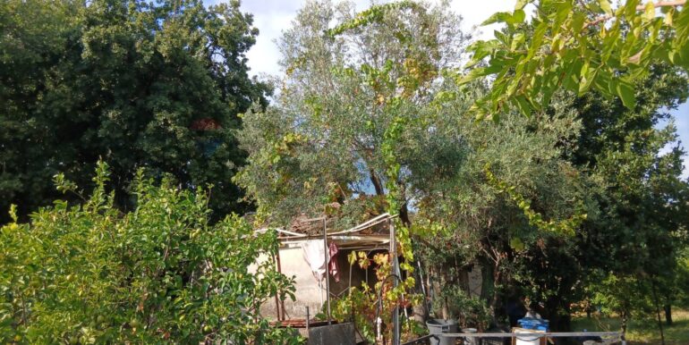 20251012134634-993139-8