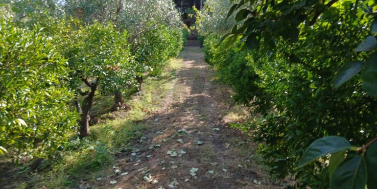 20251012134649-993139-11