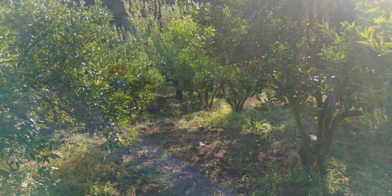 20251012134655-993139-12