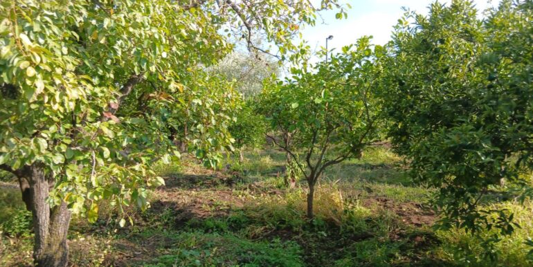 20251012134659-993139-13