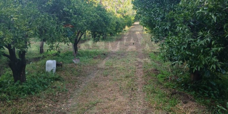 20251012135038-993139-17