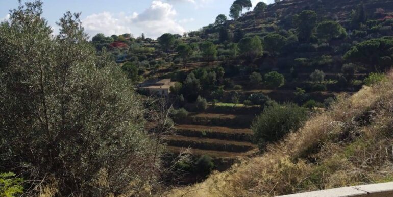 20251012223205-936646-12