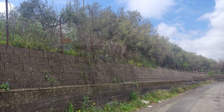 20251013154434-993342-8