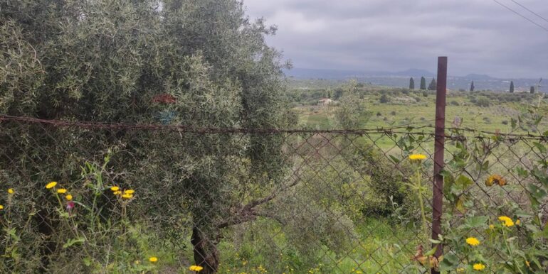 20251013154435-993342-12