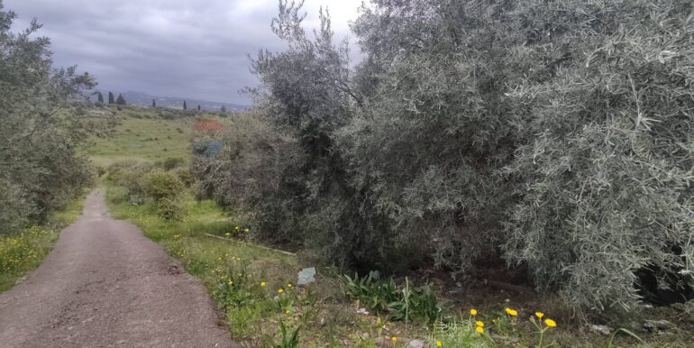 20251013154436-993342-13