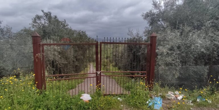 20251013154436-993342-14