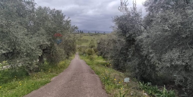 20251013154436-993342-15