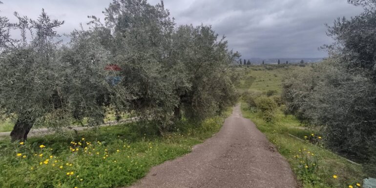 20251013154436-993342-16