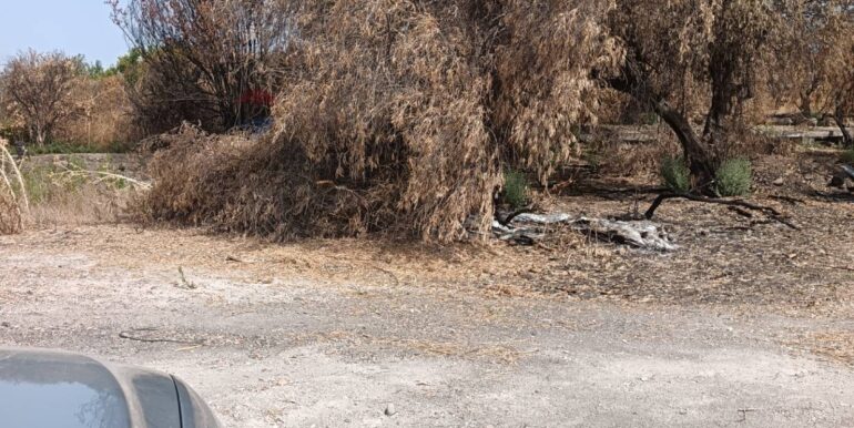 20251013175120-929964-13