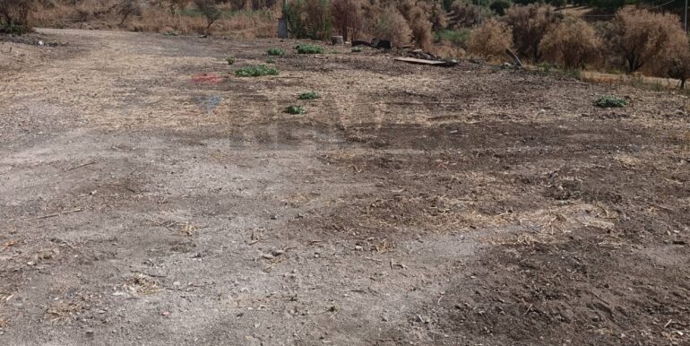 20251013175125-929964-14