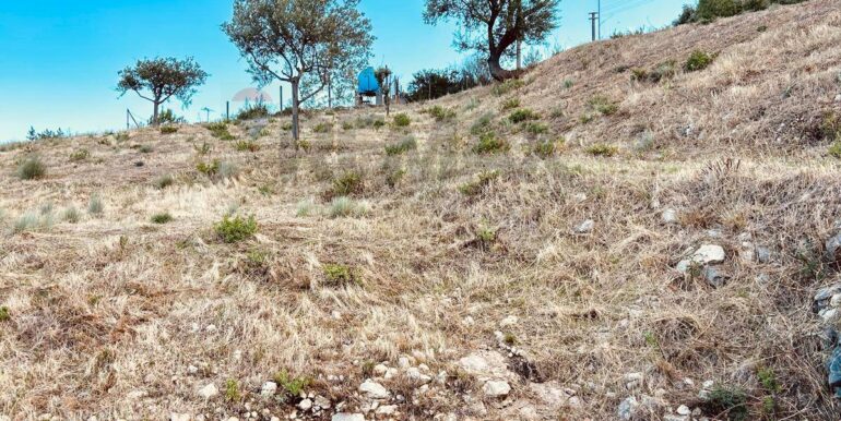 20251013185417-993406-1