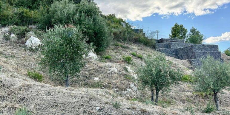 20251013185423-993406-3