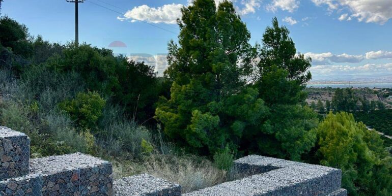 20251013185430-993406-5