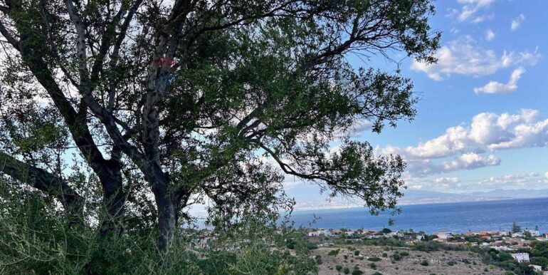 20251013185447-993406-9