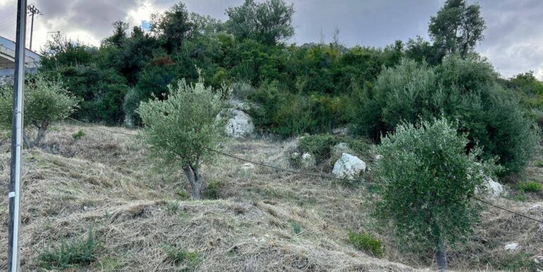 20251013185456-993406-11