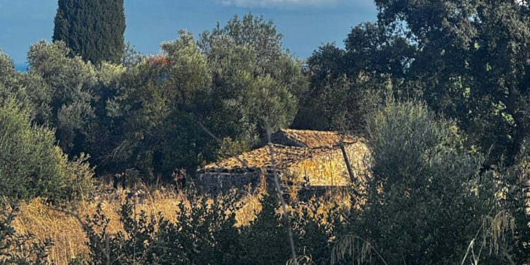 20251014111232-993513-4