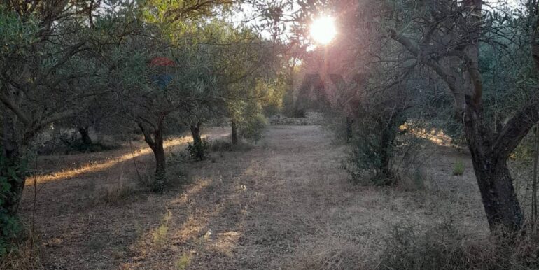 20251014111244-993513-9