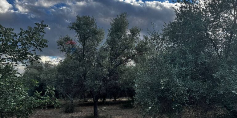 20251014111251-993513-12