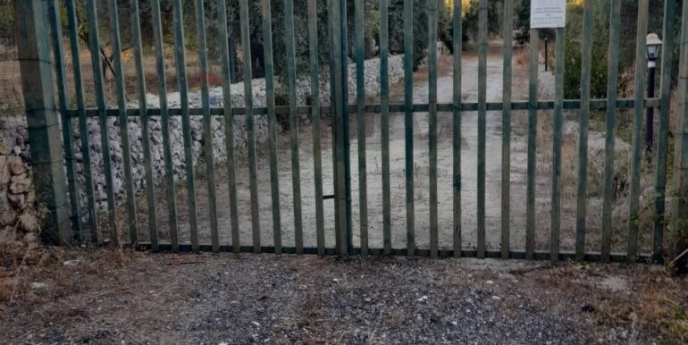 20251014111256-993513-14