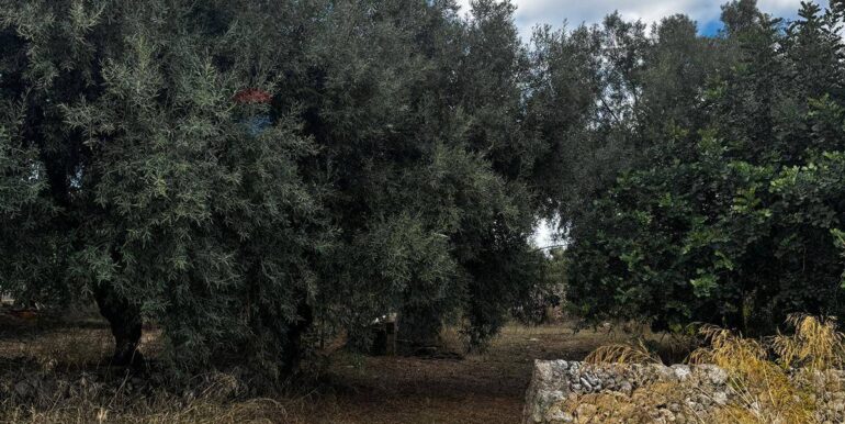 20251014111315-993513-22