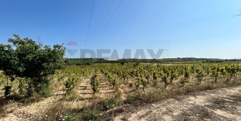 20251014123138-993578-1