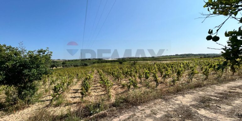 20251014123143-993578-2